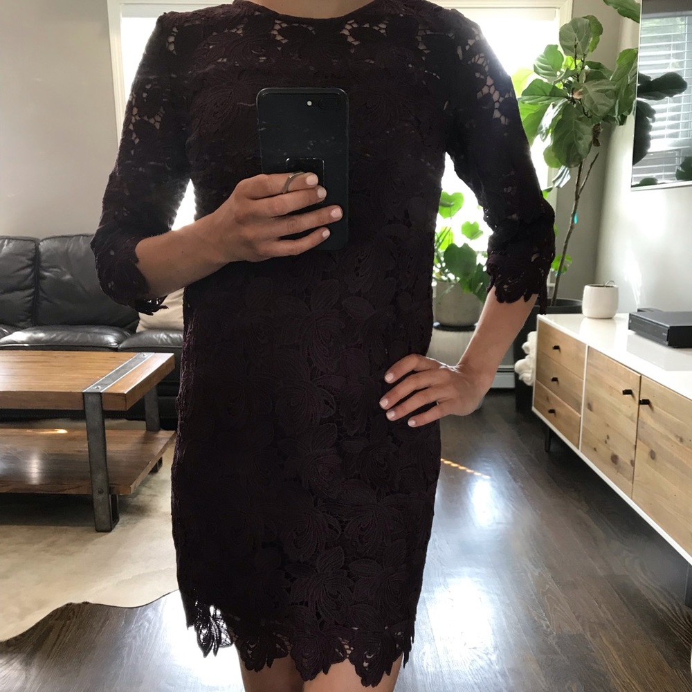 Ann Taylor Loft deep purple lace dress